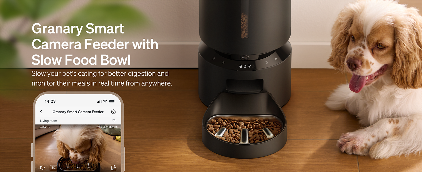 Automatic dog feeder